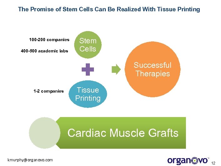 The Promise of Stem Cells Can Be Realized With Tissue Printing 100 -200 companies
