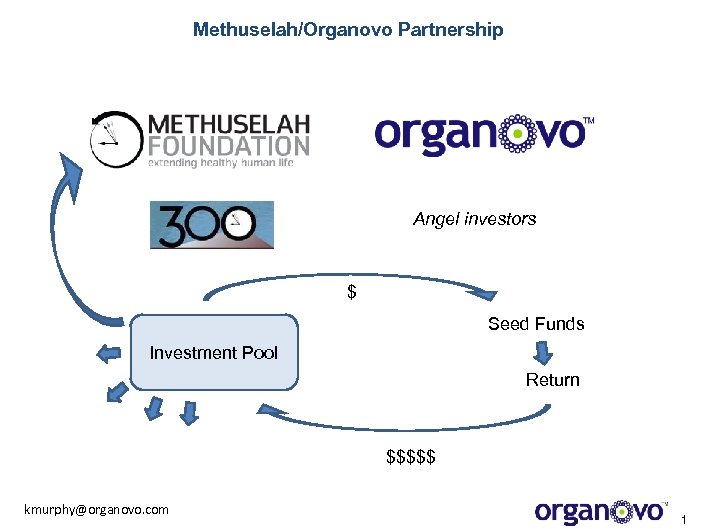Methuselah/Organovo Partnership Angel investors $ Seed Funds Investment Pool Return $$$$$ kmurphy@organovo. com 1