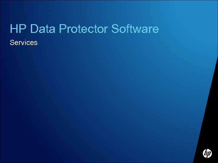 HP Data Protector Software Services 