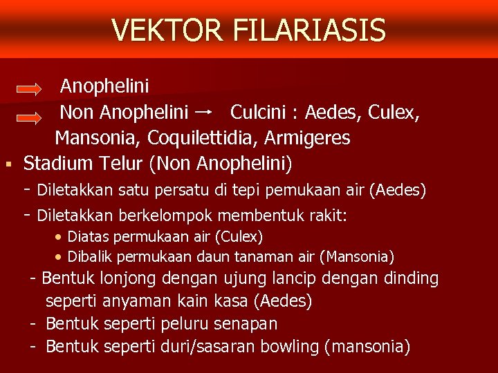 VEKTOR FILARIASIS Anophelini Non Anophelini Culcini : Aedes, Culex, Mansonia, Coquilettidia, Armigeres § Stadium