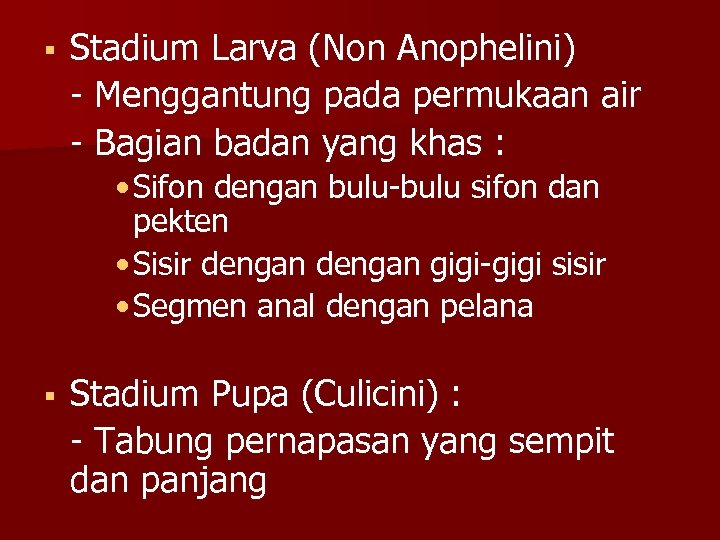 § Stadium Larva (Non Anophelini) - Menggantung pada permukaan air - Bagian badan yang