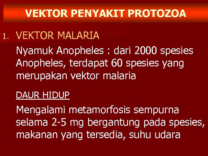 VEKTOR PENYAKIT PROTOZOA 1. VEKTOR MALARIA Nyamuk Anopheles : dari 2000 spesies Anopheles, terdapat