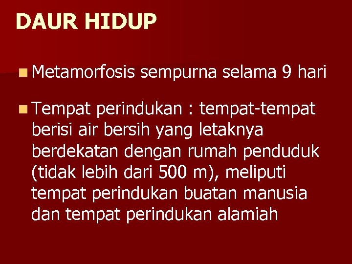 DAUR HIDUP n Metamorfosis n Tempat sempurna selama 9 hari perindukan : tempat-tempat berisi