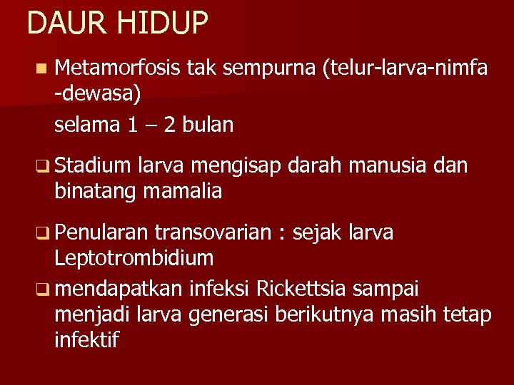 DAUR HIDUP n Metamorfosis tak sempurna (telur-larva-nimfa -dewasa) selama 1 – 2 bulan q