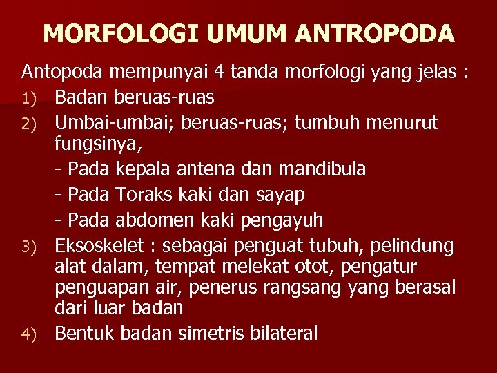 MORFOLOGI UMUM ANTROPODA Antopoda mempunyai 4 tanda morfologi yang jelas : 1) Badan beruas-ruas