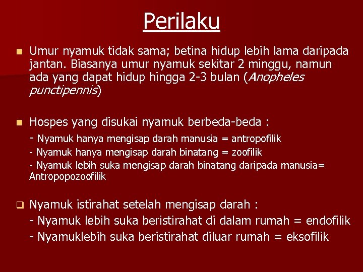 Perilaku n Umur nyamuk tidak sama; betina hidup lebih lama daripada jantan. Biasanya umur
