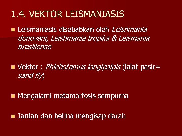 1. 4. VEKTOR LEISMANIASIS n Leismaniasis disebabkan oleh Leishmania n Vektor : Phlebotamus longipalpis