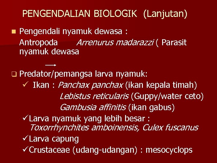 PENGENDALIAN BIOLOGIK (Lanjutan) n Pengendali nyamuk dewasa : Antropoda Arrenurus madarazzi ( Parasit nyamuk
