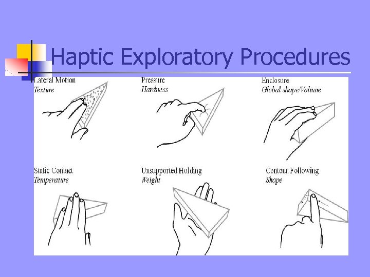 Haptic Exploratory Procedures 