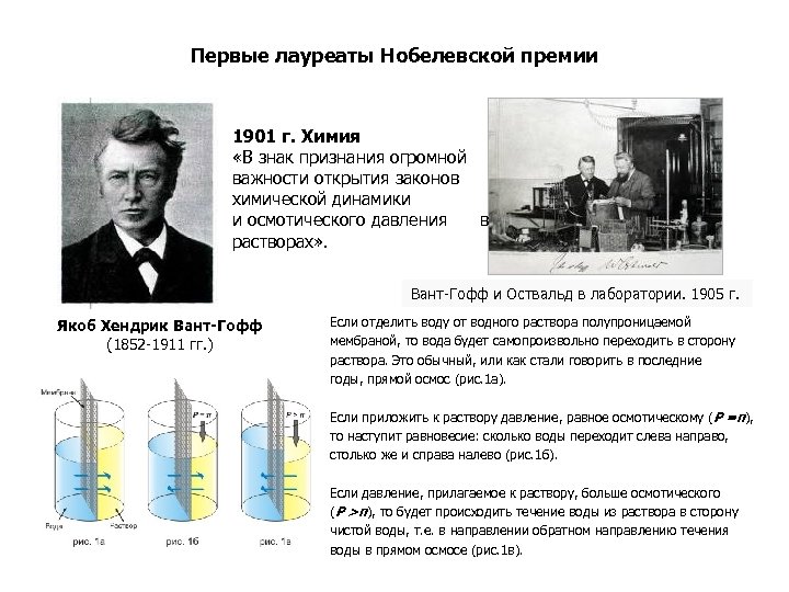 Первые лауреаты Нобелевской премии 1901 г. Химия «В знак признания огромной важности открытия законов