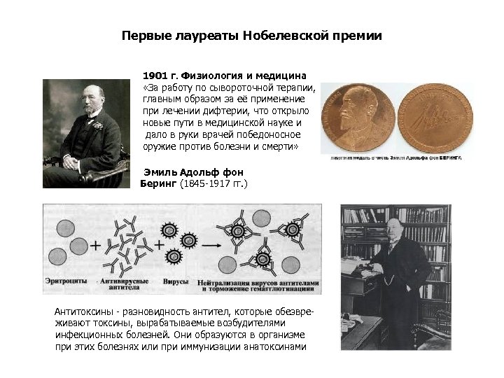 Нобелевская премия за какие достижения