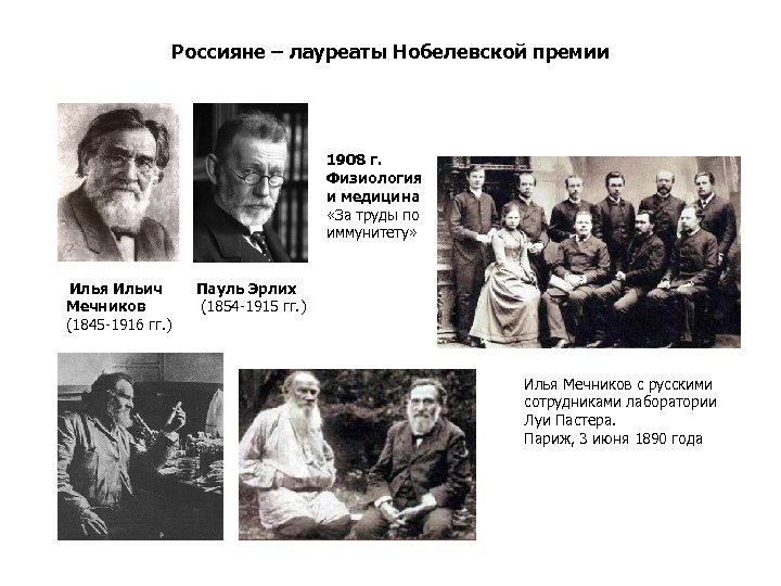 Россияне – лауреаты Нобелевской премии 1908 г. Физиология и медицина «За труды по иммунитету»