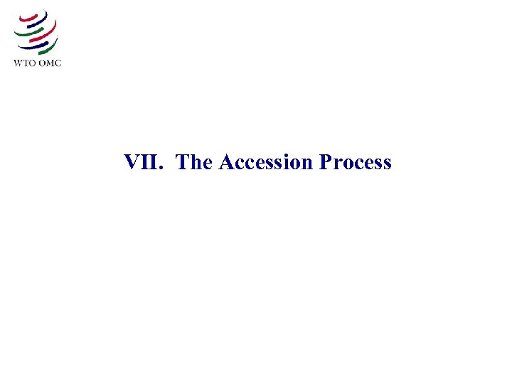 VII. The Accession Process 