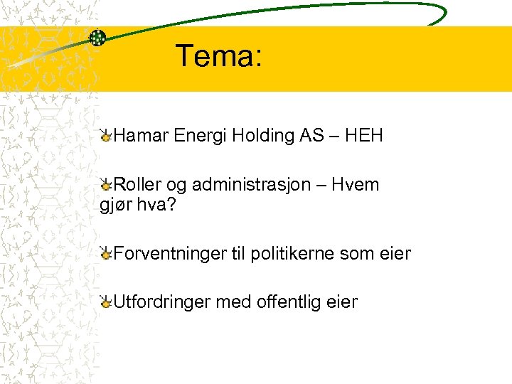 Tema: Hamar Energi Holding AS – HEH Roller og administrasjon – Hvem gjør hva?