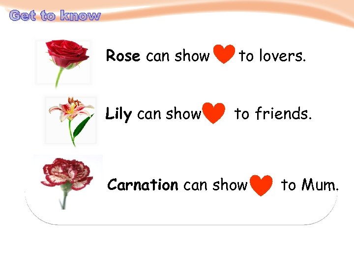 Get to know Rose can show to lovers. Lily can show to friends. Carnation