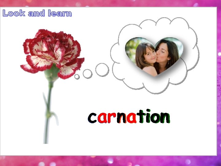Look and learn carnation 