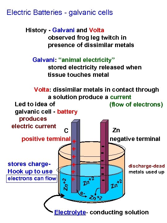 Electric Batteries - galvanic cells History - Galvani and Volta observed frog leg twitch