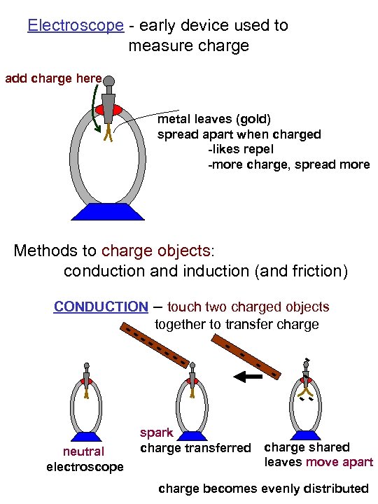 Electroscope - early device used to measure charge add charge here metal leaves (gold)