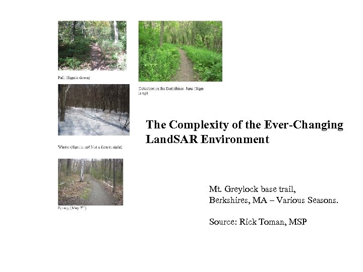 The Complexity of the Ever-Changing Land. SAR Environment Mt. Greylock base trail, Berkshires, MA