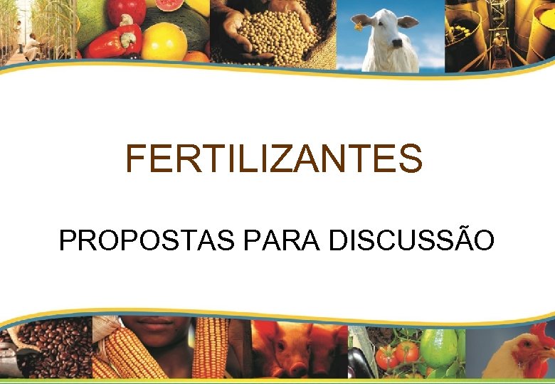 FERTILIZANTES PROPOSTAS PARA DISCUSSÃO 1 