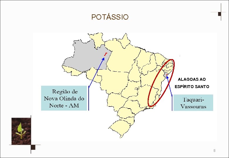 POTÁSSIO ALAGOAS AO ESPÍRITO SANTO 8 