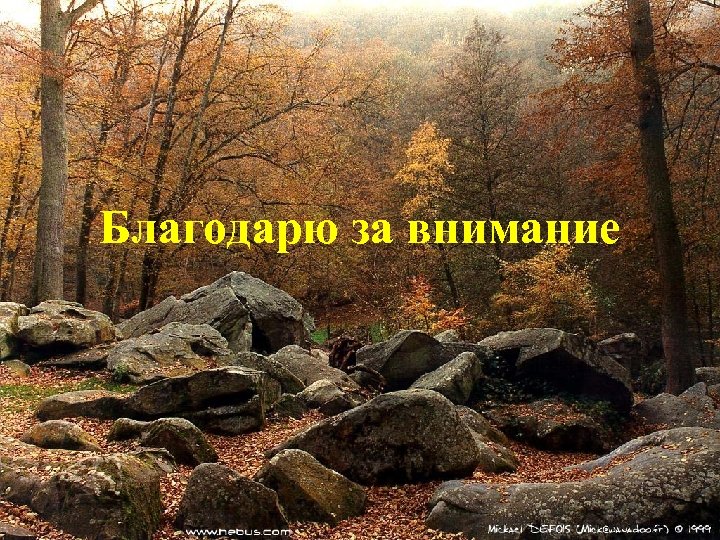 Благодарю за внимание 