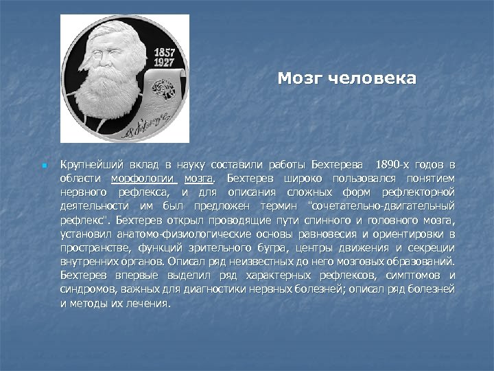 Мозг человека n Крупнейший вклад в науку составили работы Бехтерева 1890 -х годов в