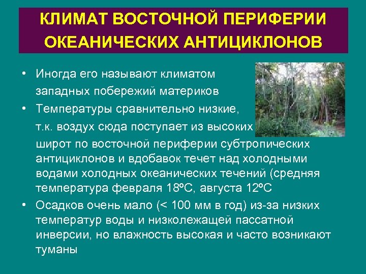 КЛИМАТ ВОСТОЧНОЙ ПЕРИФЕРИИ ОКЕАНИЧЕСКИХ АНТИЦИКЛОНОВ • Иногда его называют климатом западных побережий материков •