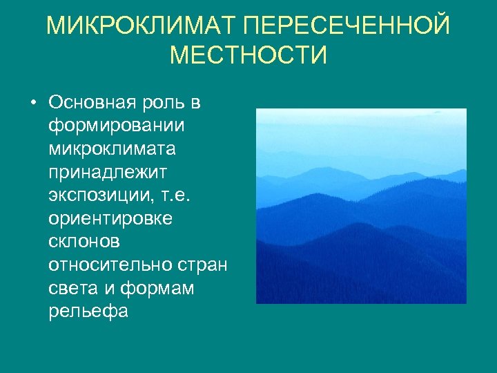 Микроклимат пересеченной местности. Микроклимат леса. Микроклимат рельефа. Микроклимат территории.