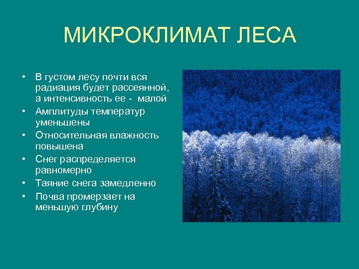 МИКРОКЛИМАТ ЛЕСА • В густом лесу почти вся радиация будет рассеянной, а интенсивность ее