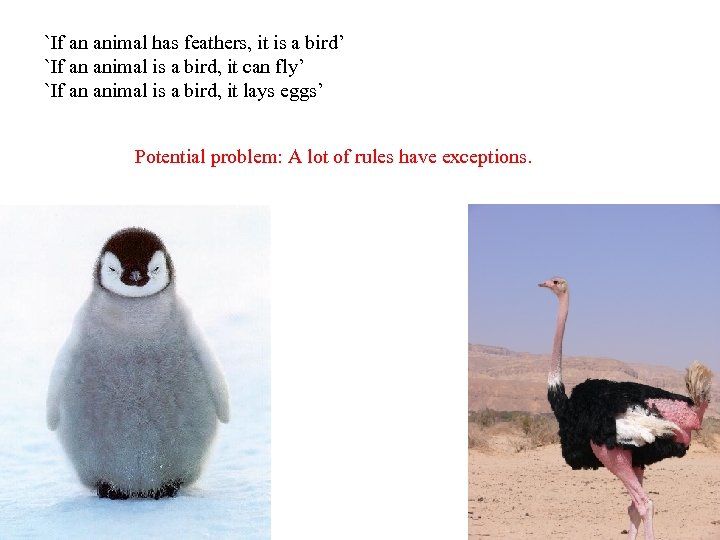 `If an animal has feathers, it is a bird’ `If an animal is a