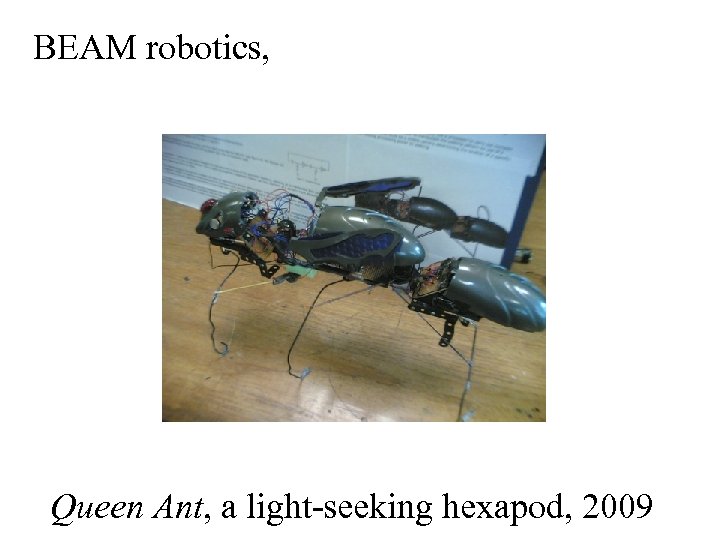 BEAM robotics, Queen Ant, a light-seeking hexapod, 2009 
