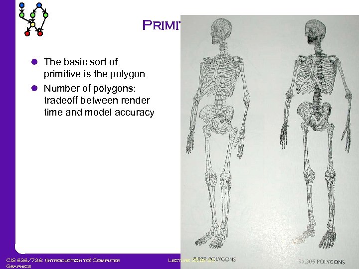 Primitives l The basic sort of primitive is the polygon l Number of polygons: