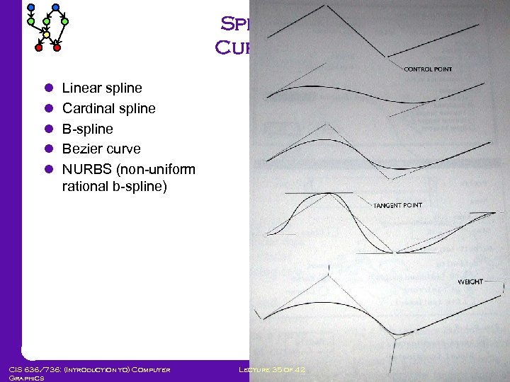 Spline Curves l l l Linear spline Cardinal spline B-spline Bezier curve NURBS (non-uniform