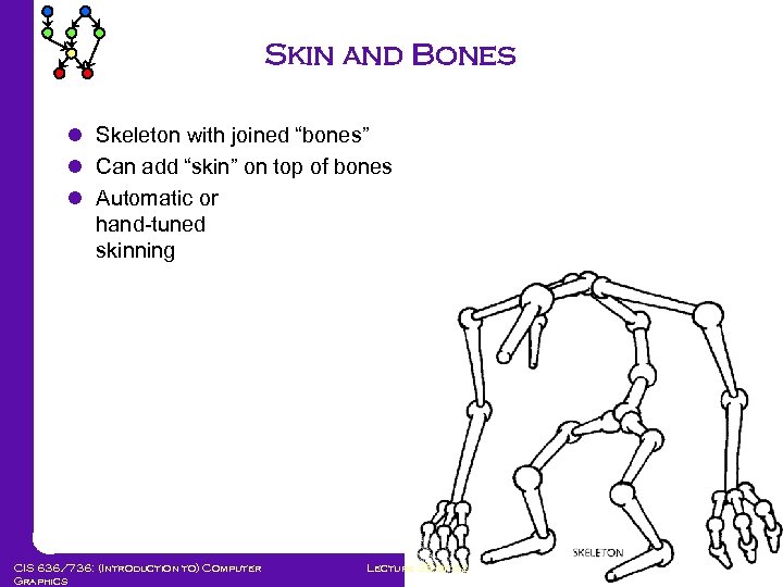 Skin and Bones l Skeleton with joined “bones” l Can add “skin” on top
