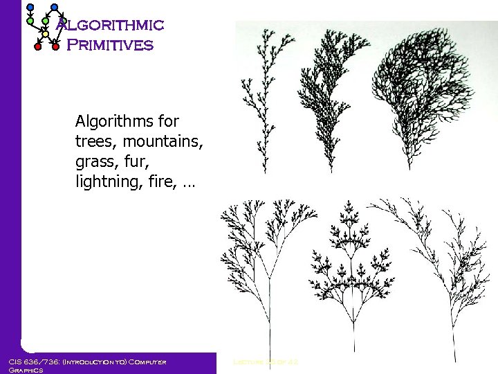 Algorithmic Primitives Algorithms for trees, mountains, grass, fur, lightning, fire, … CIS 636/736: (Introduction