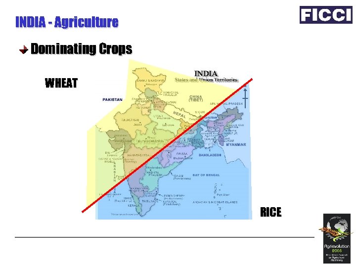 INDIA - Agriculture Dominating Crops WHEAT RICE 