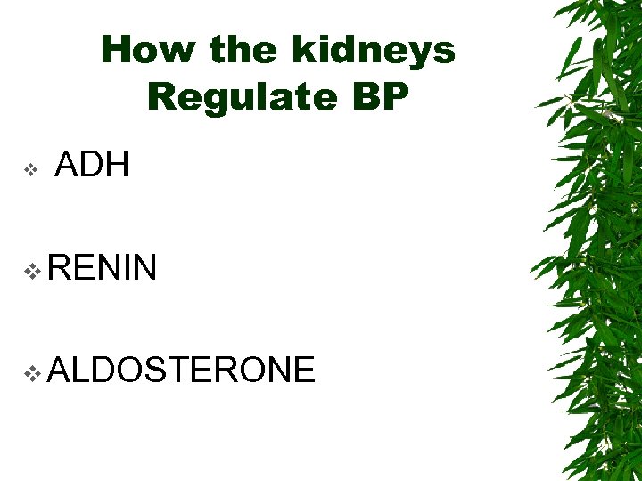 How the kidneys Regulate BP v ADH v RENIN v ALDOSTERONE 