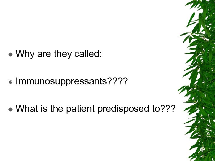  Why are they called: Immunosuppressants? ? What is the patient predisposed to? ?