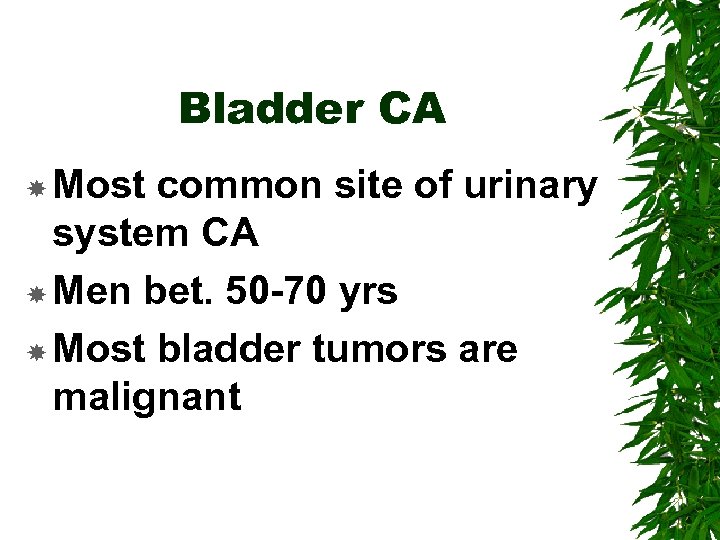 Bladder CA Most common site of urinary system CA Men bet. 50 -70 yrs