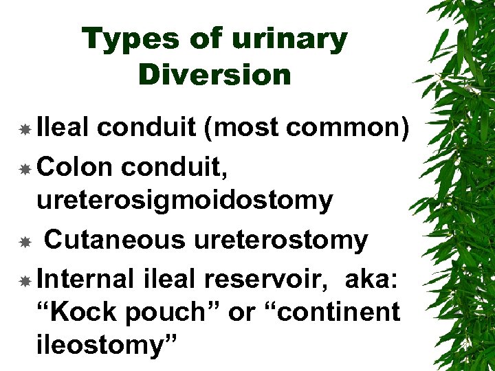 Types of urinary Diversion Ileal conduit (most common) Colon conduit, ureterosigmoidostomy Cutaneous ureterostomy Internal