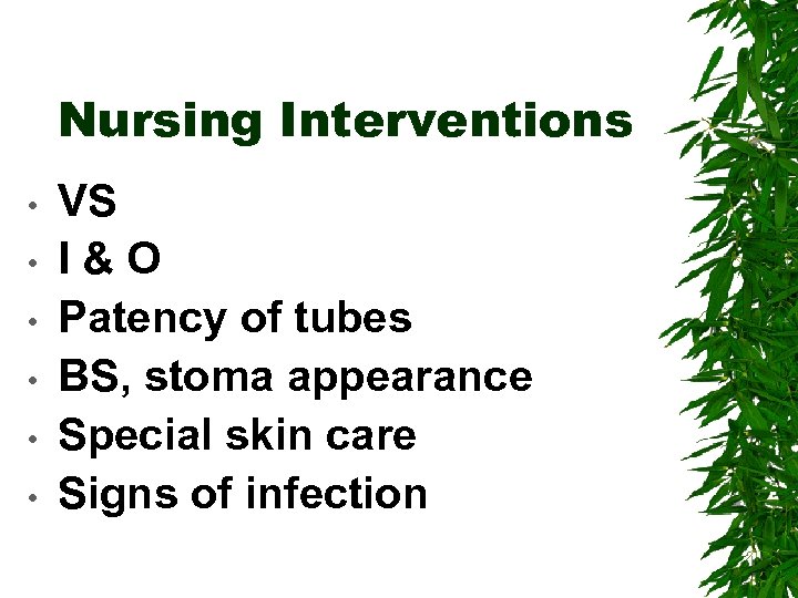 Nursing Interventions • • • VS I&O Patency of tubes BS, stoma appearance Special