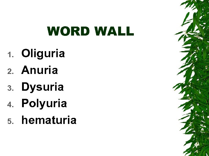 WORD WALL 1. 2. 3. 4. 5. Oliguria Anuria Dysuria Polyuria hematuria 