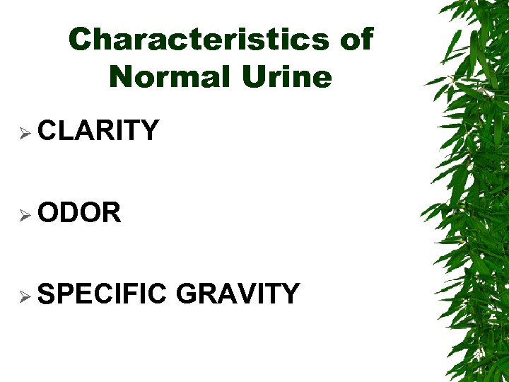 Characteristics of Normal Urine Ø CLARITY Ø ODOR Ø SPECIFIC GRAVITY 