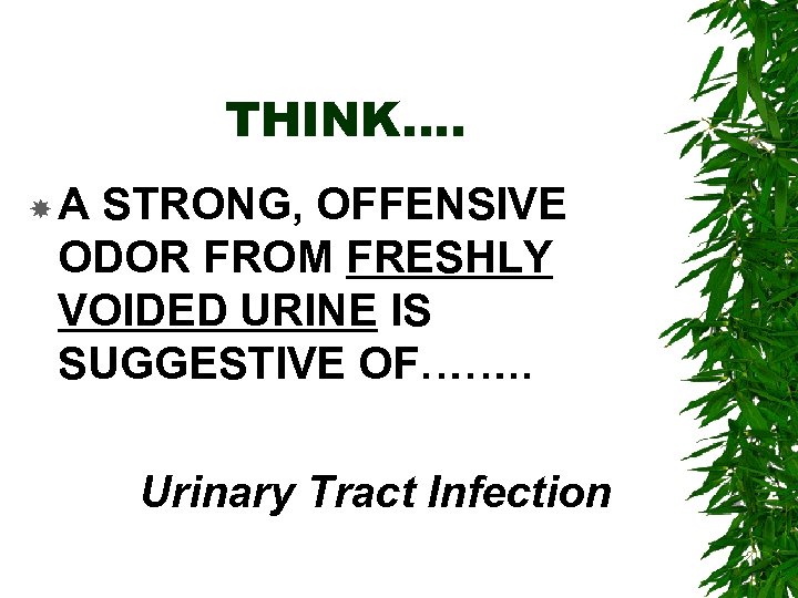 THINK…. A STRONG, OFFENSIVE ODOR FROM FRESHLY VOIDED URINE IS SUGGESTIVE OF……. . Urinary