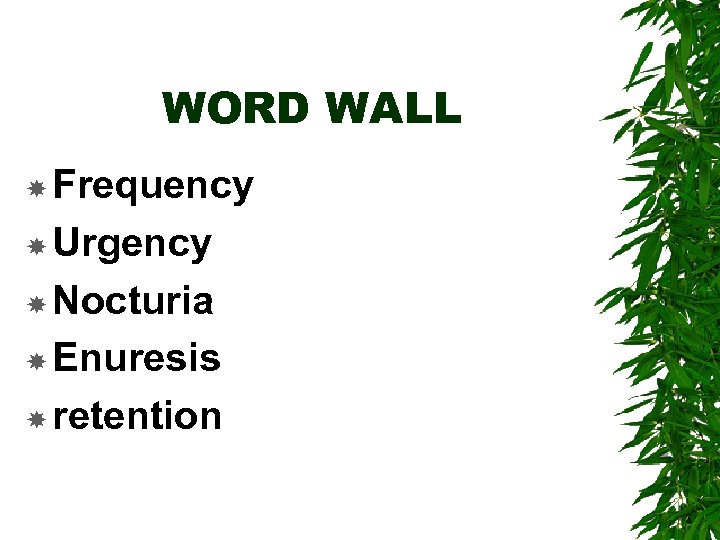 WORD WALL Frequency Urgency Nocturia Enuresis retention 