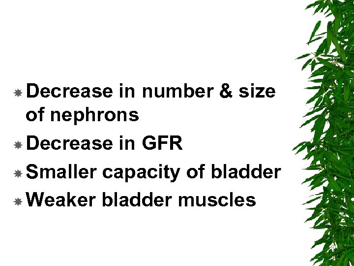  Decrease in number & size of nephrons Decrease in GFR Smaller capacity of