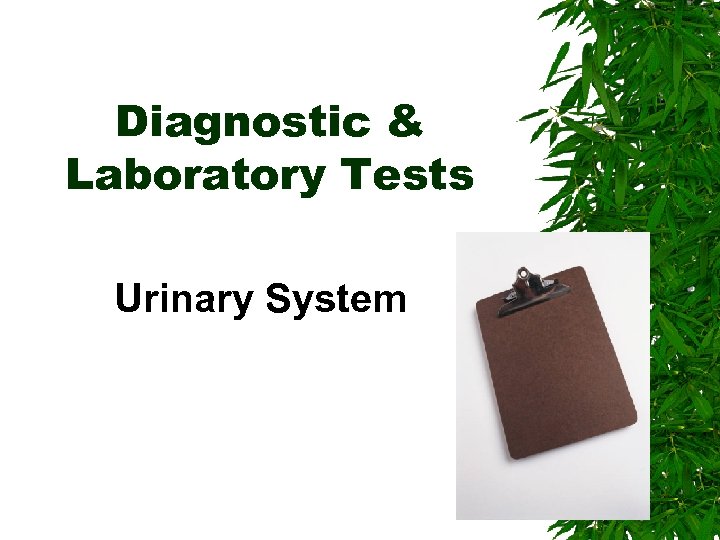 Diagnostic & Laboratory Tests Urinary System 