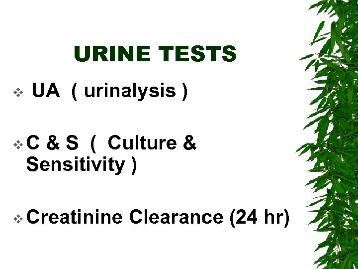 URINE TESTS v UA ( urinalysis ) v. C & S ( Culture &