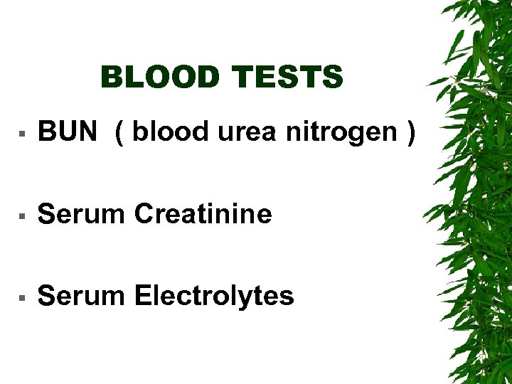 BLOOD TESTS § BUN ( blood urea nitrogen ) § Serum Creatinine § Serum